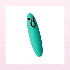 Rayon Vibromasseurs